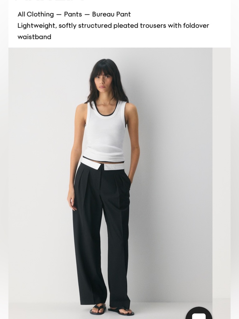 Aritzia Babaton Trousers. Never worn but tag is removed.